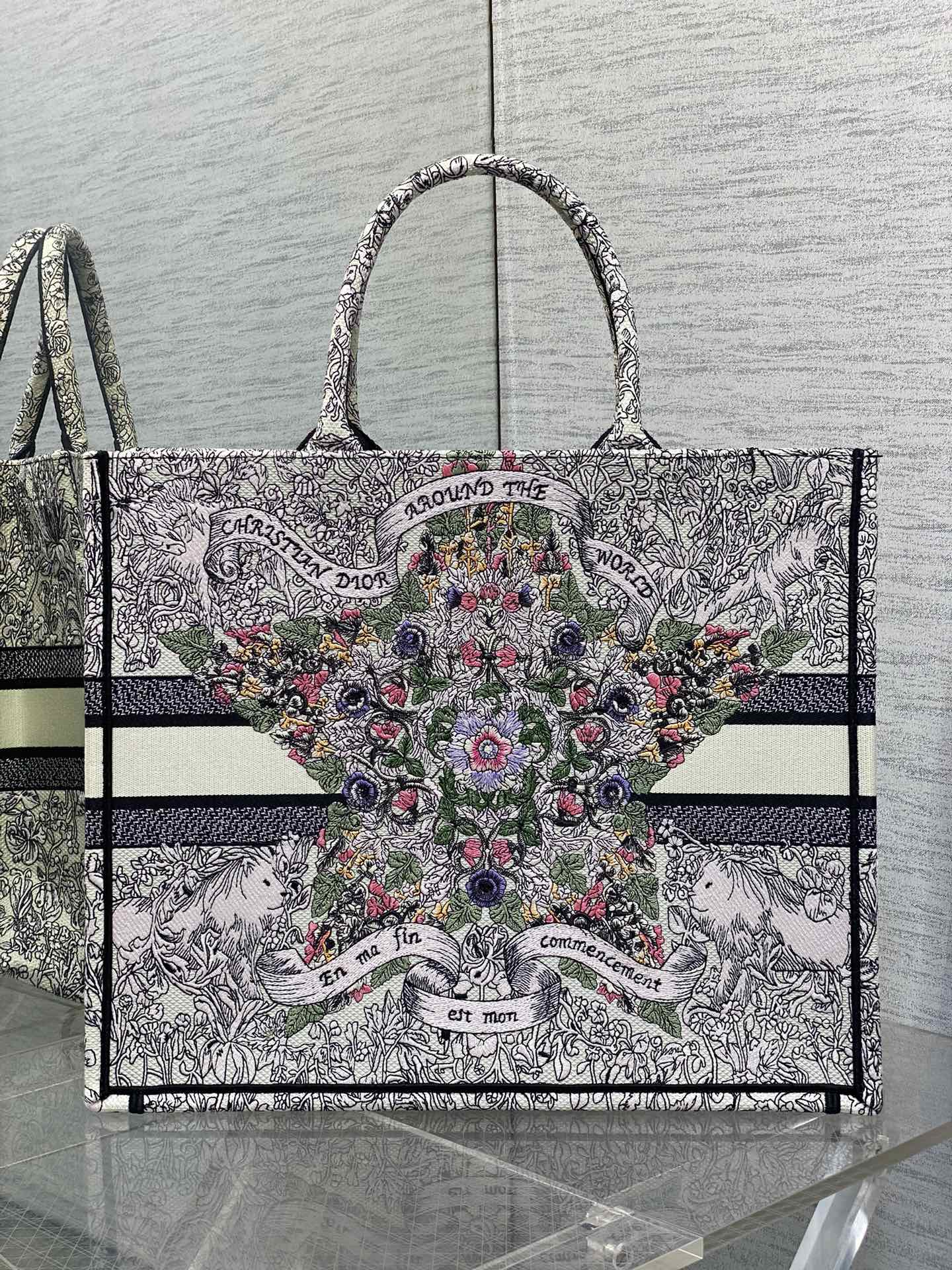 BAG-DIOR-W-LY-844