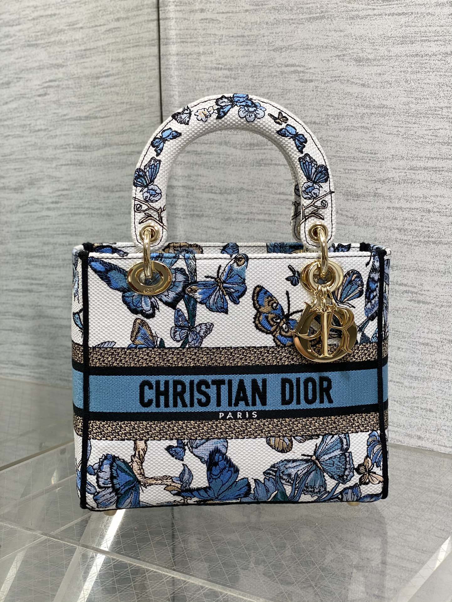 BAG-DIOR-W-LY-081