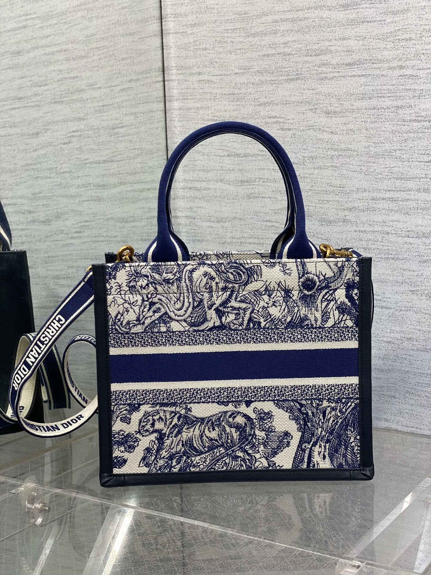 BAG-DIOR-W-LY-832