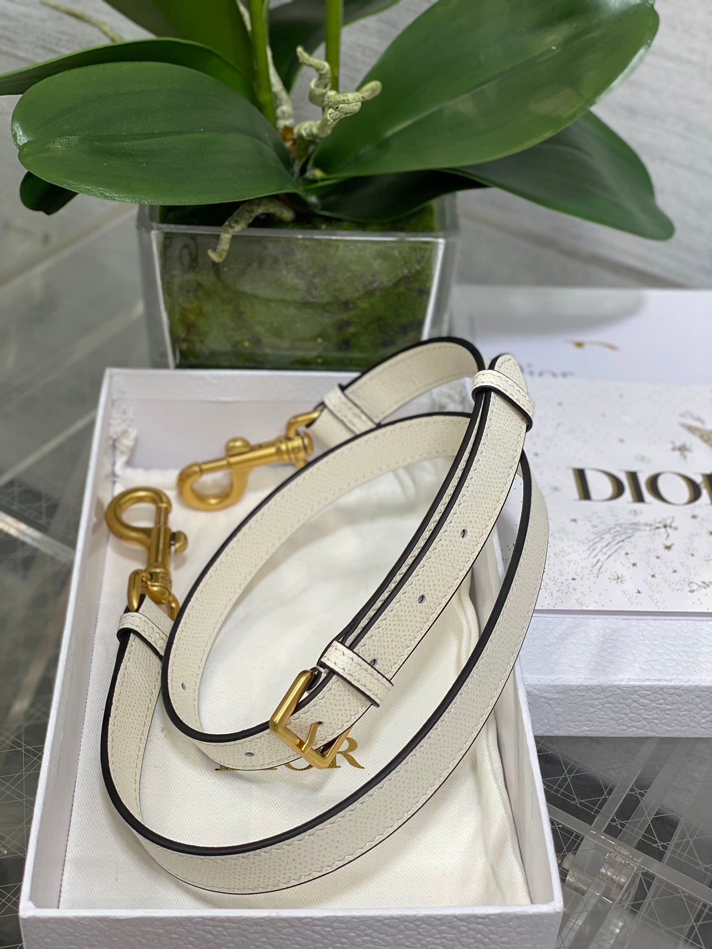 BAG-DIOR-W-LY-064