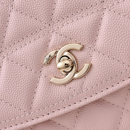 BAG-CHANEL-061