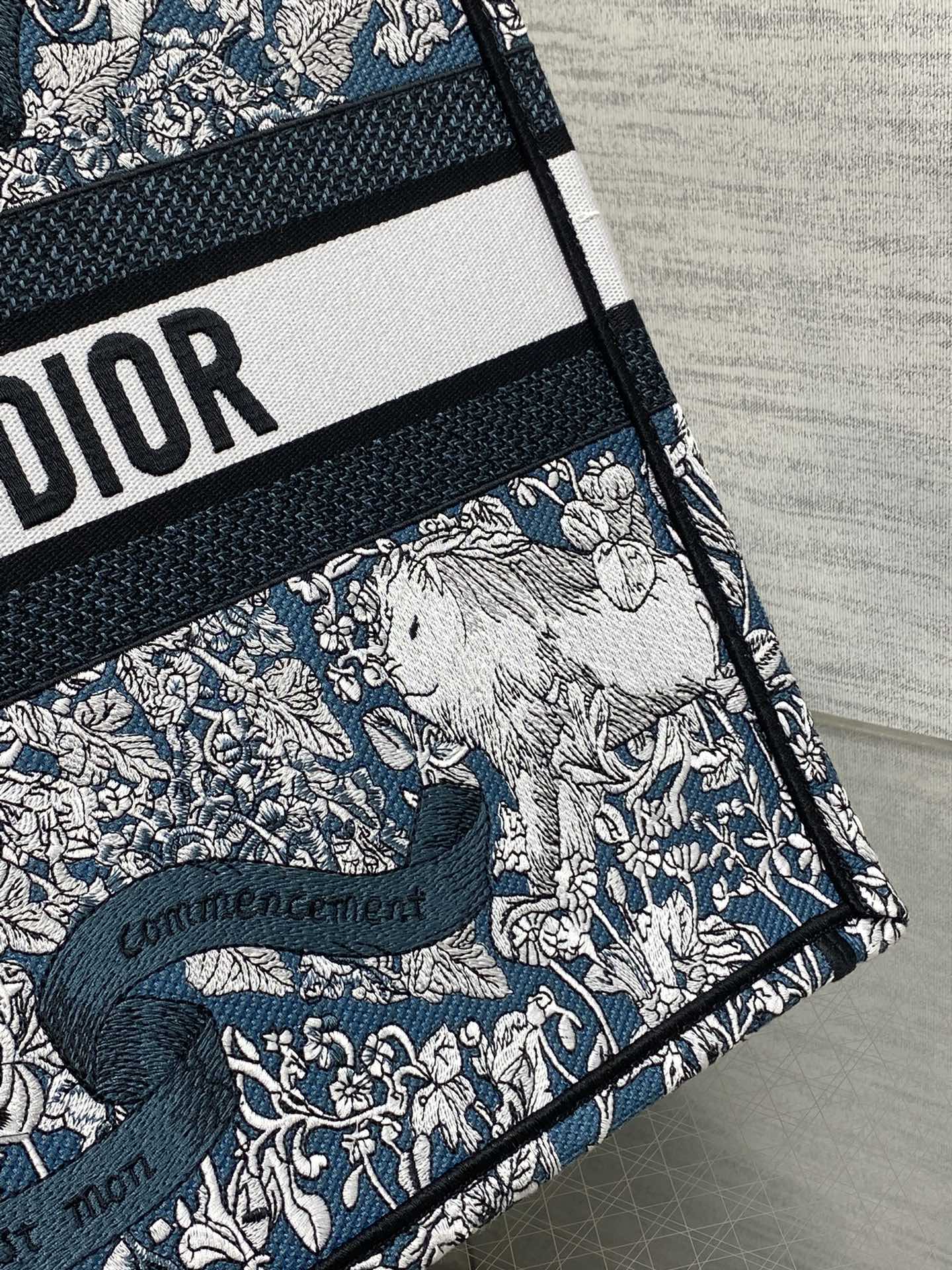 BAG-DIOR-W-LY-848