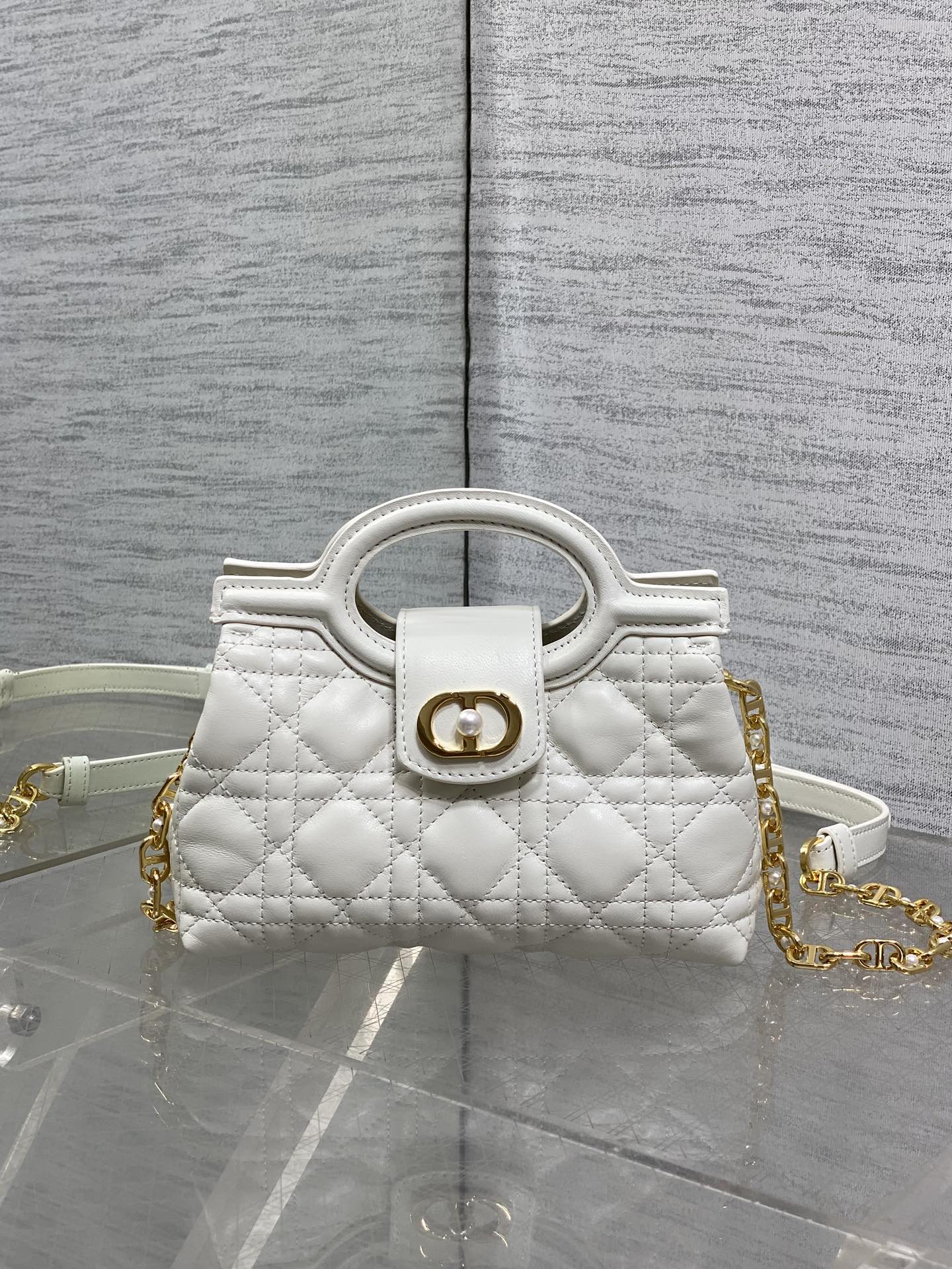 BAG-DIOR-W-LY-021