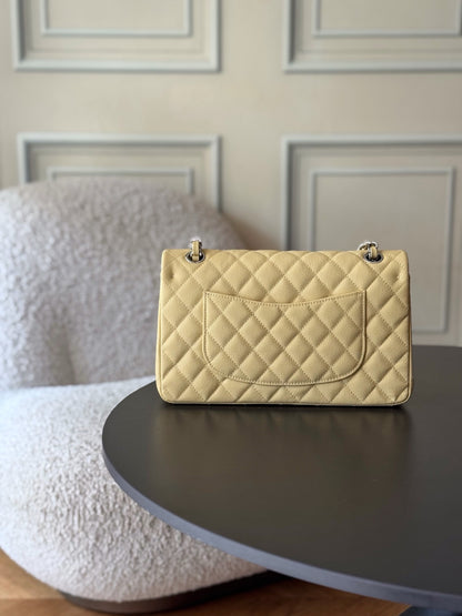 BAG-CHANEL-088