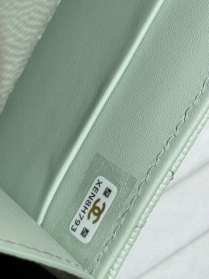 BAG-CHANEL-035