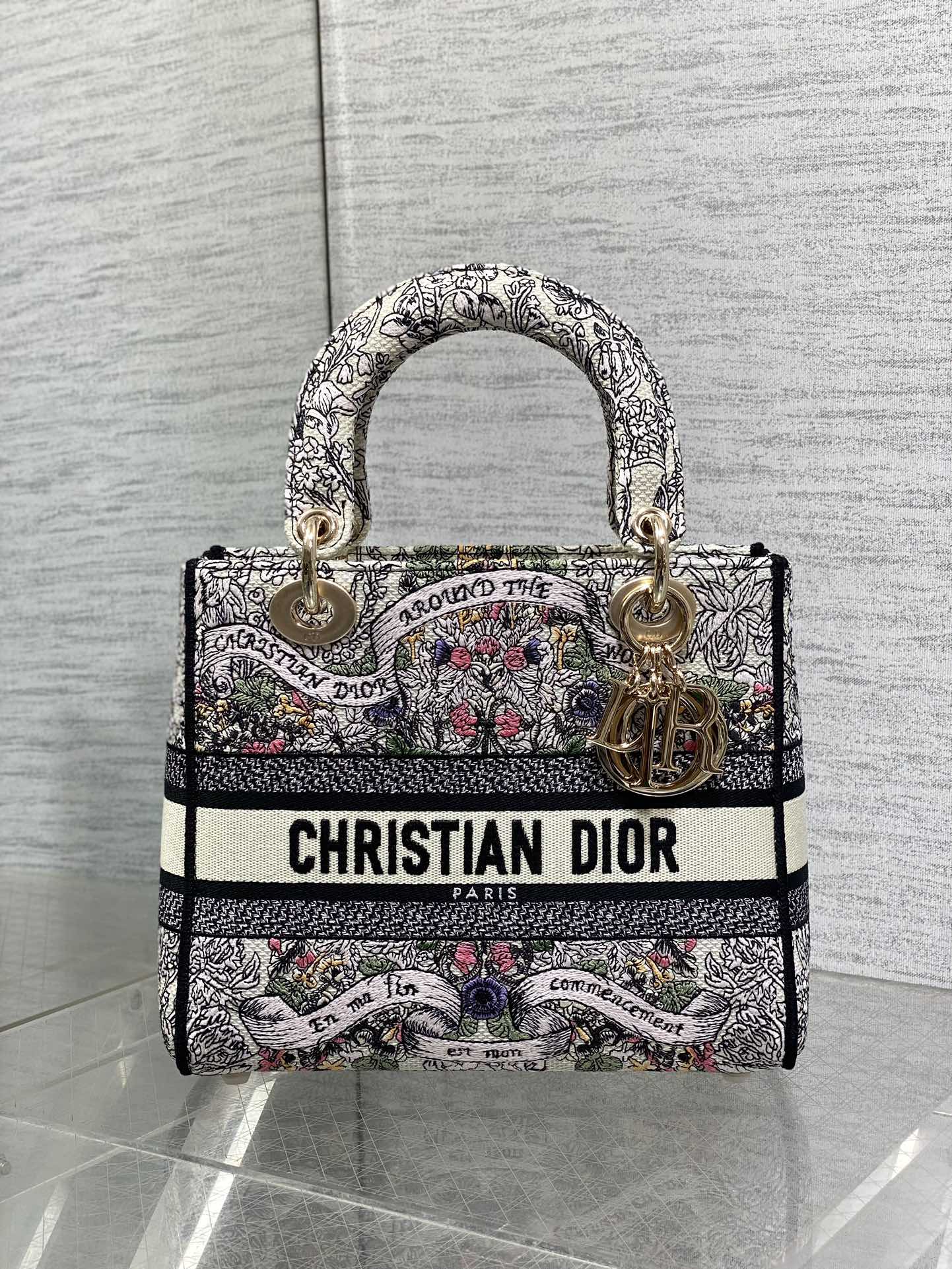 BAG-DIOR-W-LY-499
