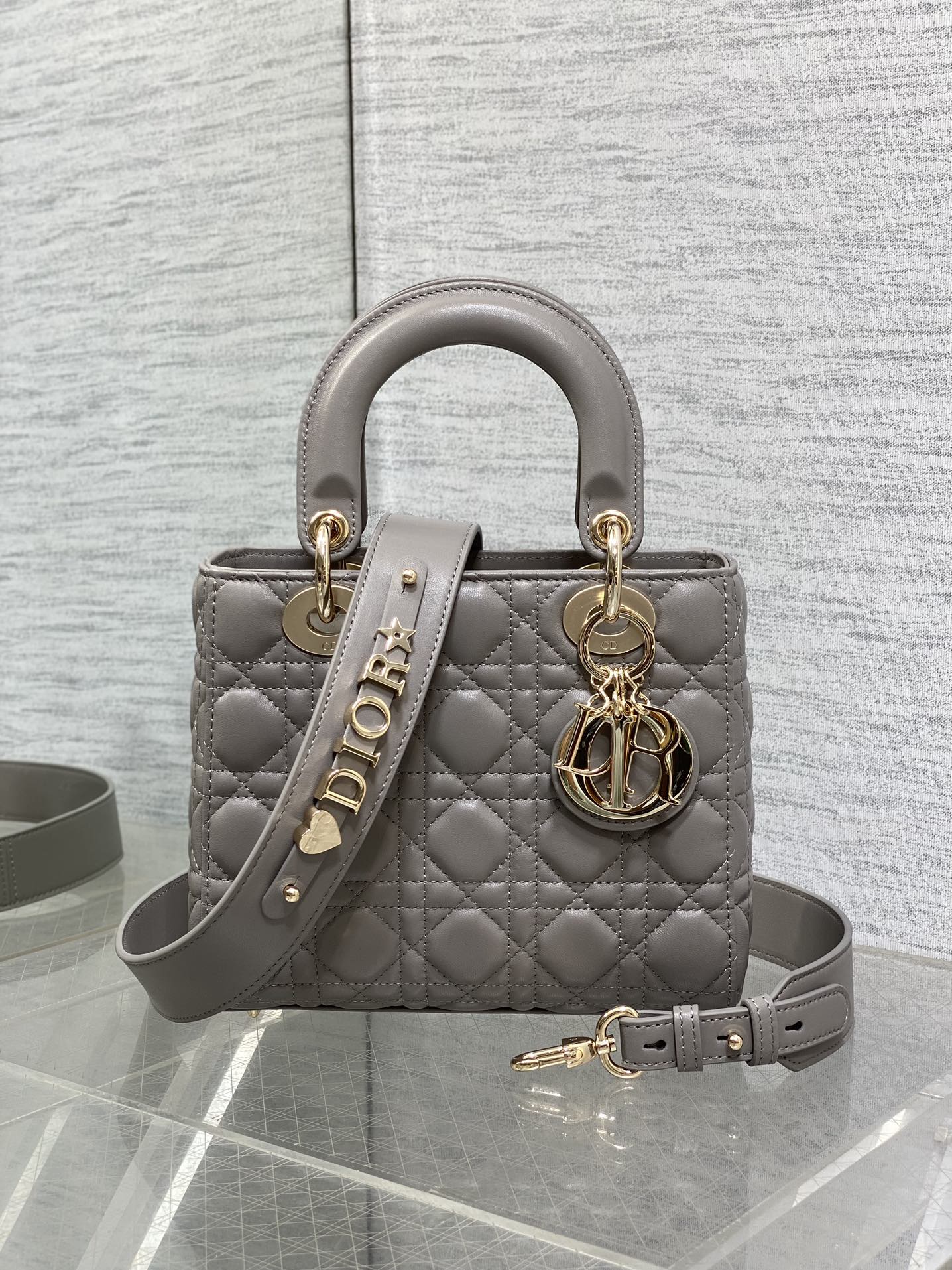 BAG-DIOR-W-LY-764
