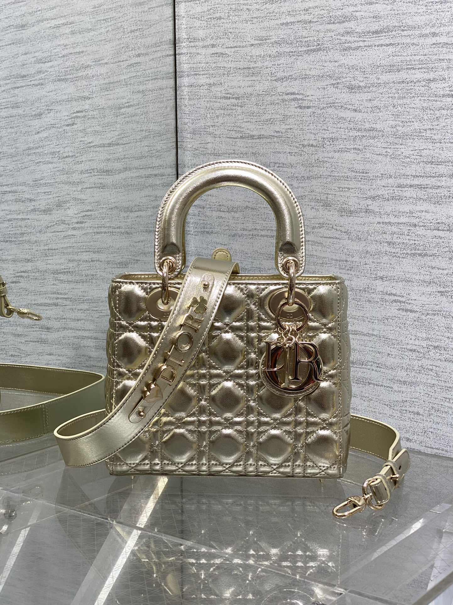 BAG-DIOR-W-LY-711