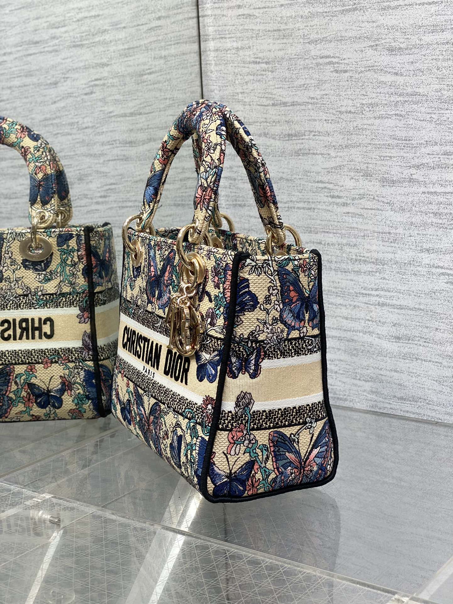 BAG-DIOR-W-LY-504