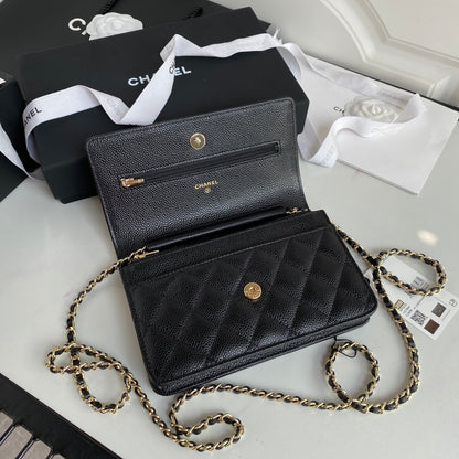 BAG-CHANEL-547