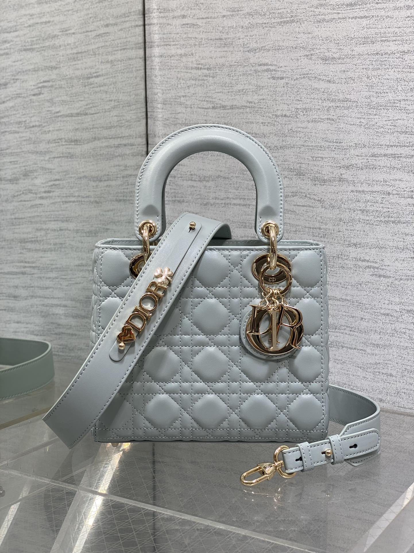 BAG-DIOR-W-LY-761