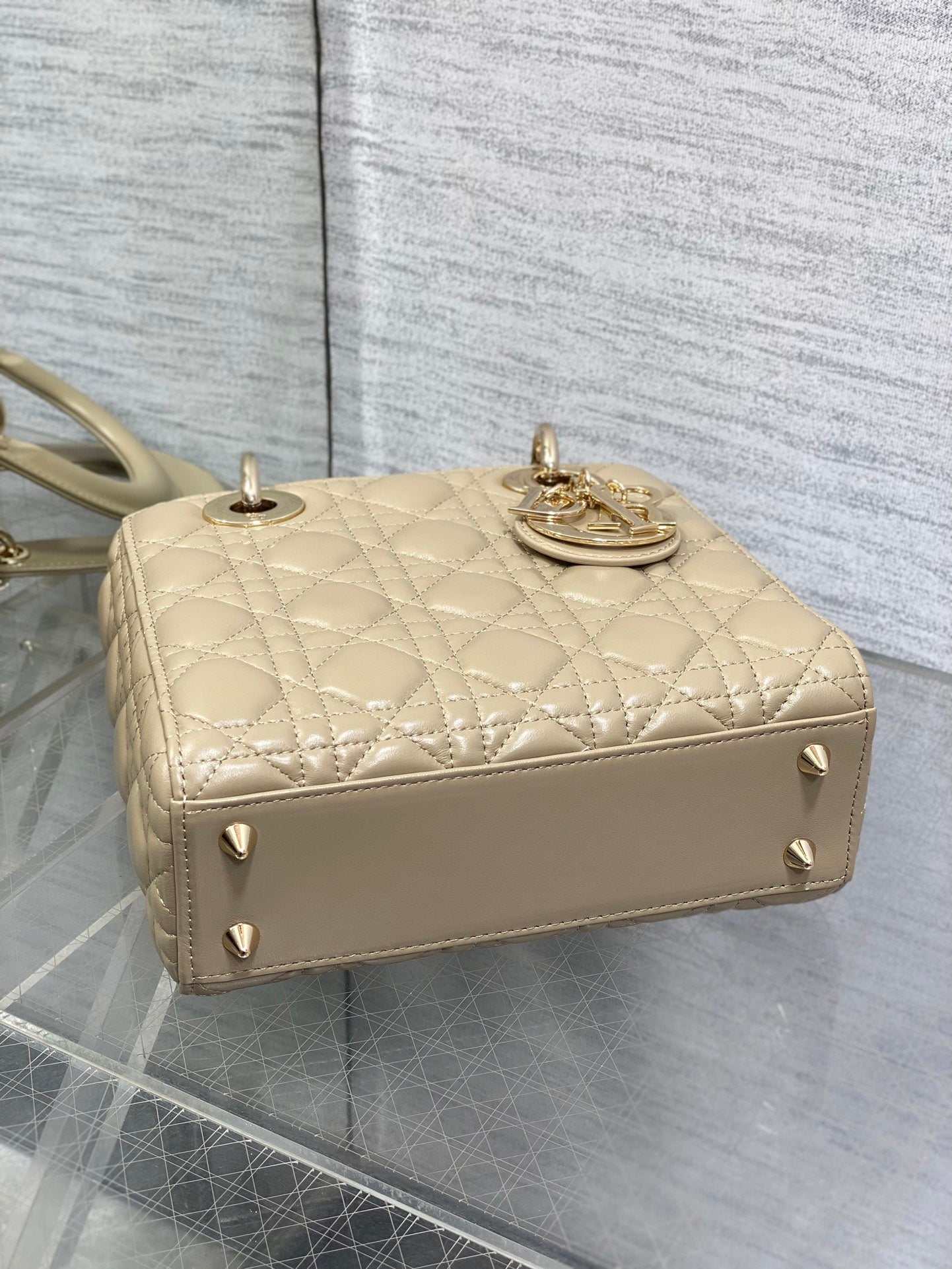 BAG-DIOR-W-LY-766