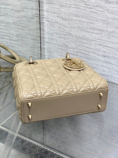 BAG-DIOR-W-LY-766