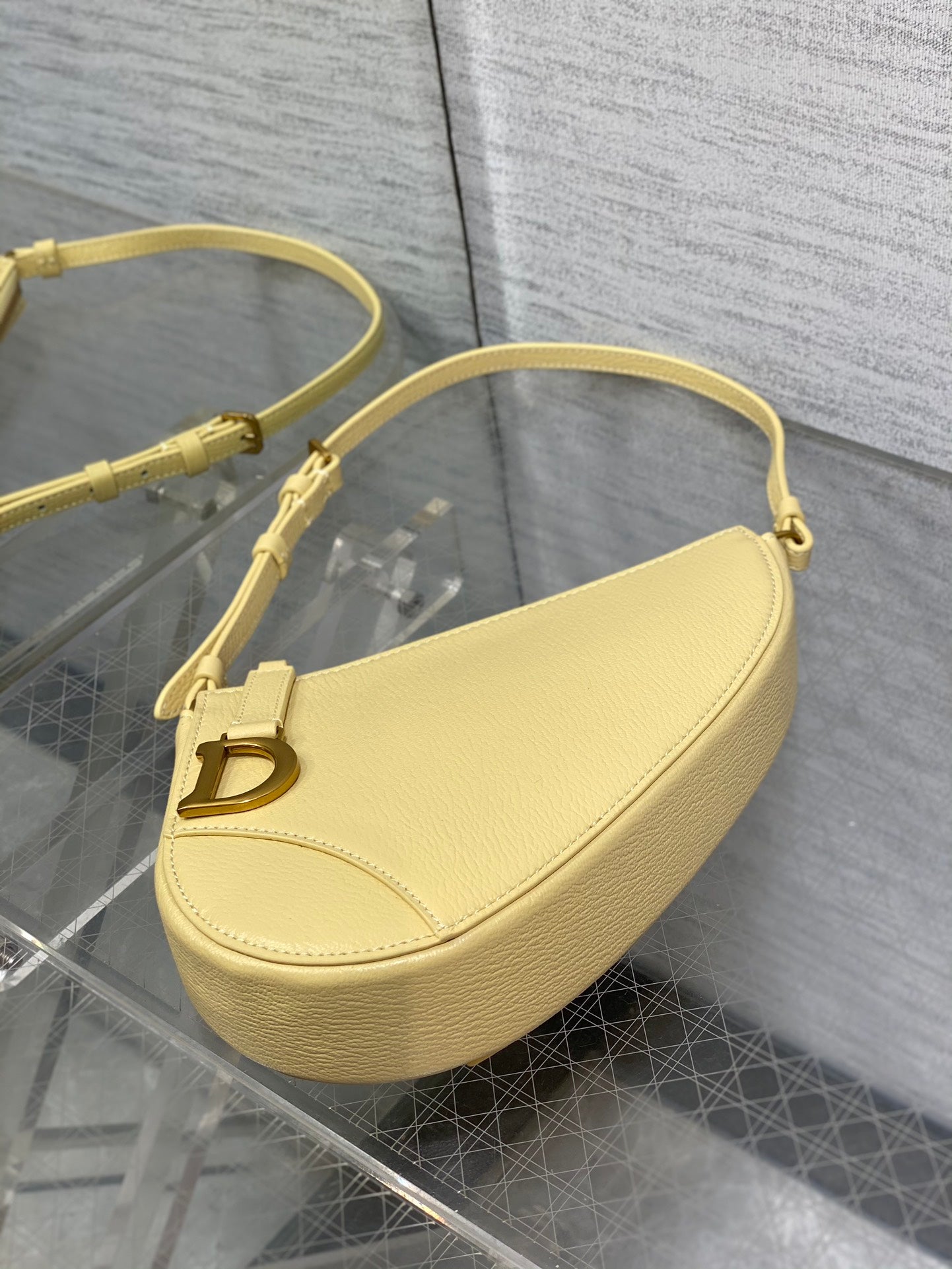BAG-DIOR-W-LY-062