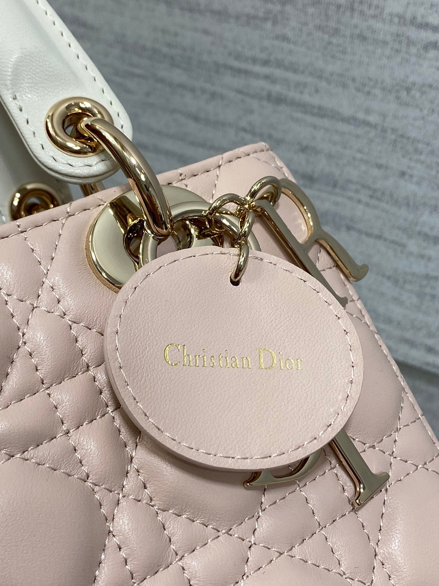 BAG-DIOR-W-LY-547