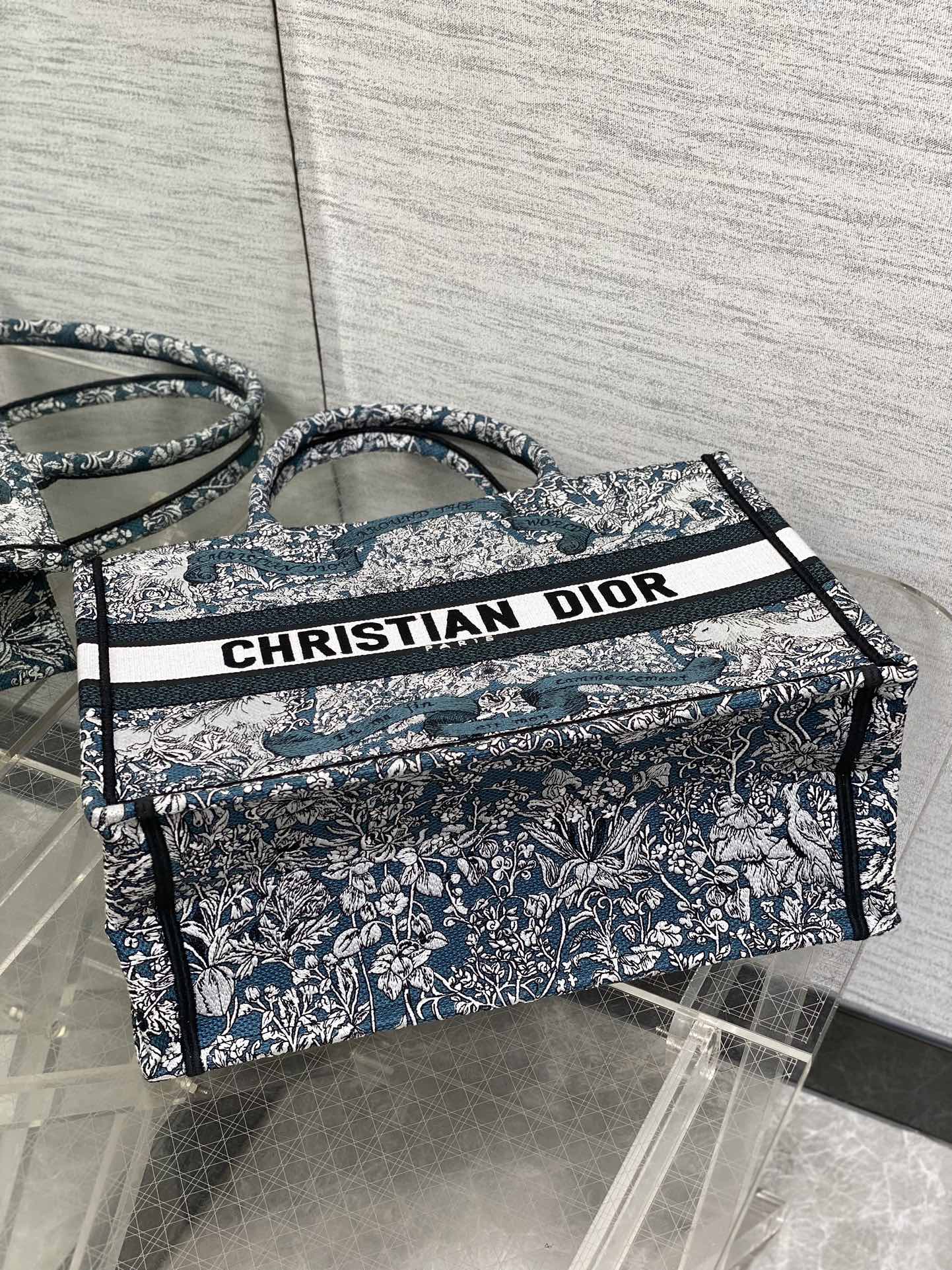 BAG-DIOR-W-LY-846
