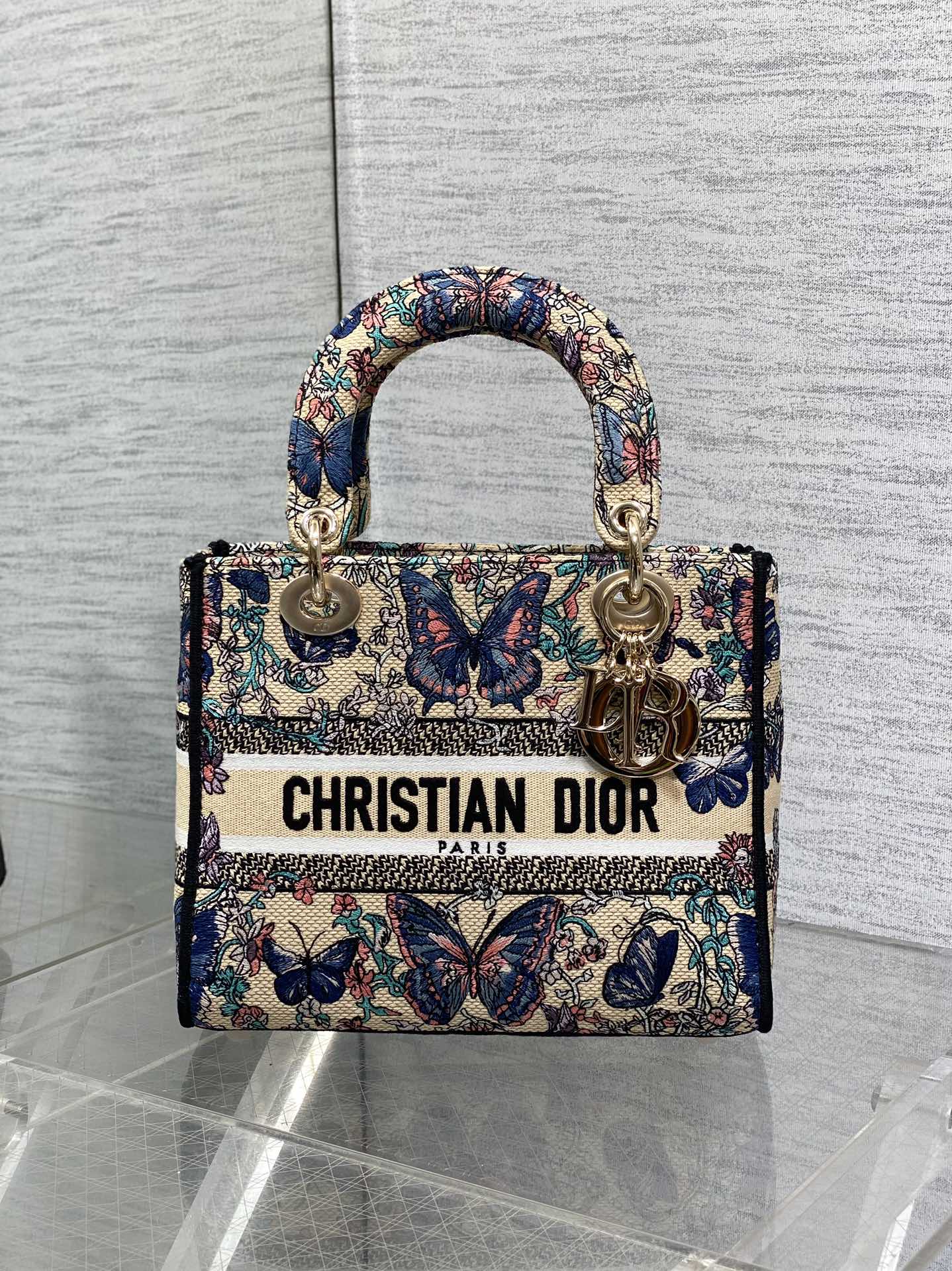 BAG-DIOR-W-LY-504