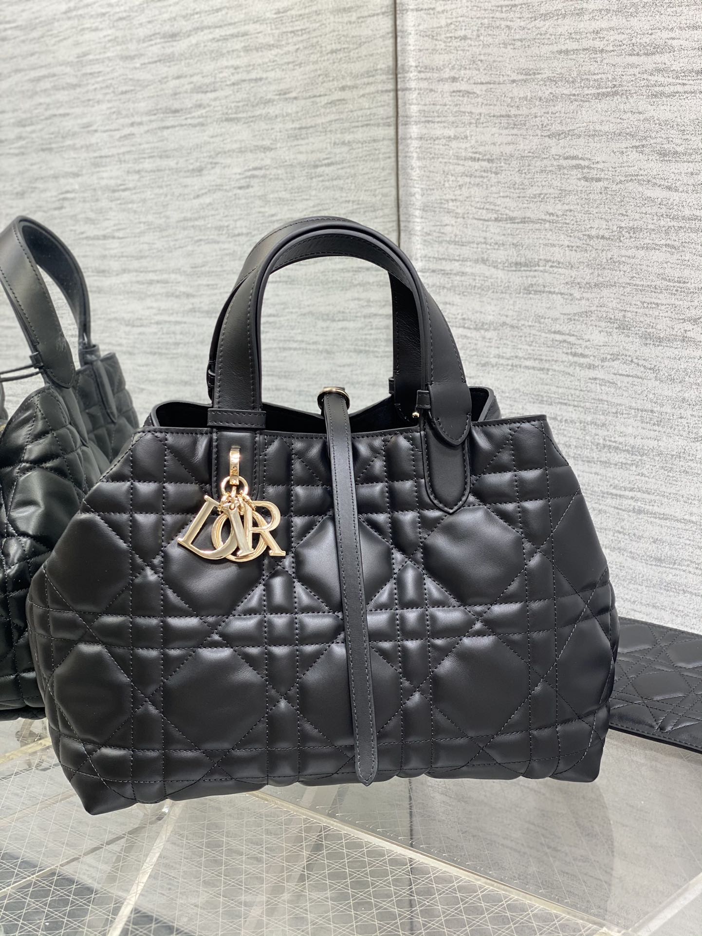BAG-DIOR-W-LY-181