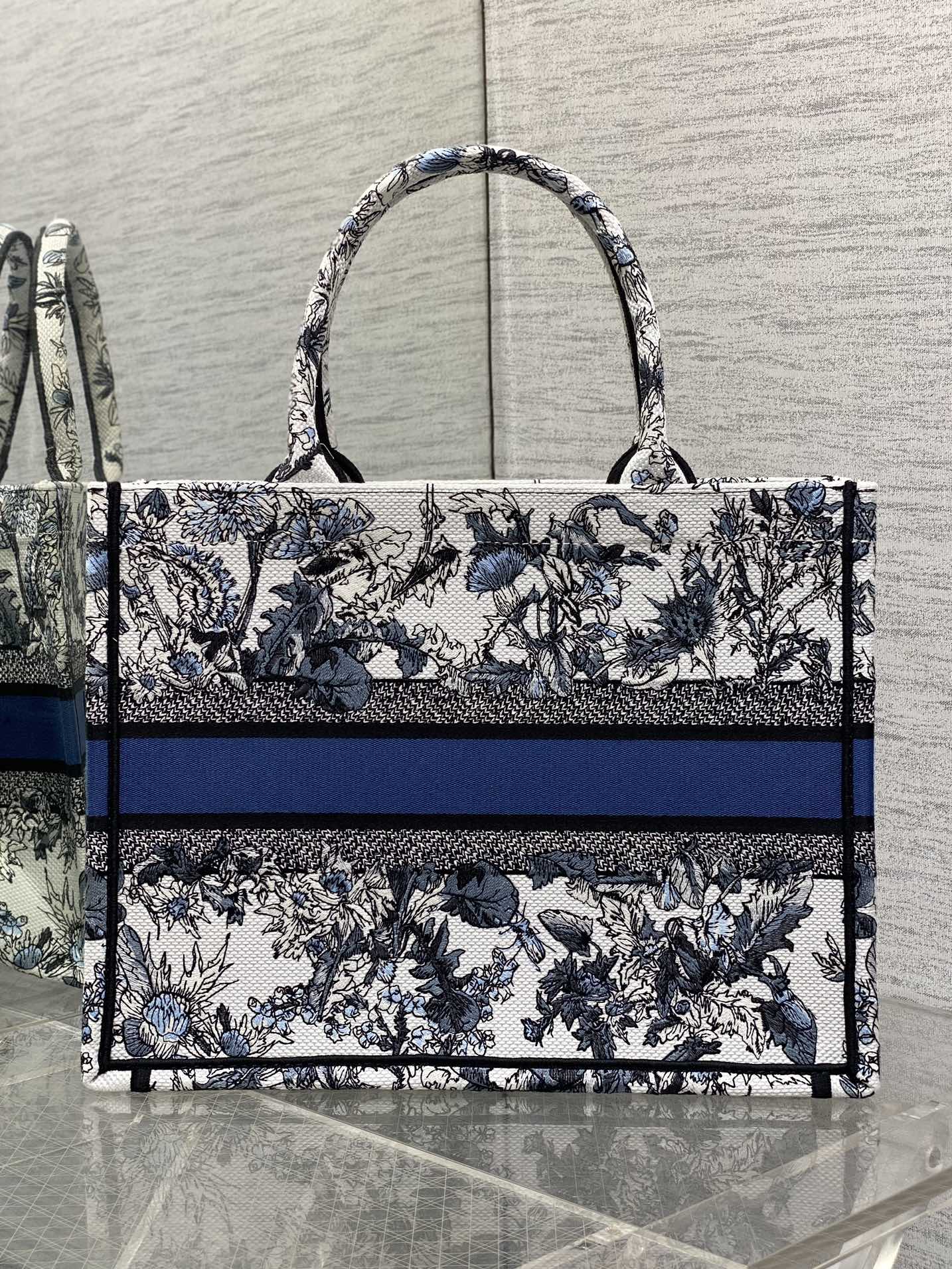 BAG-DIOR-W-LY-203