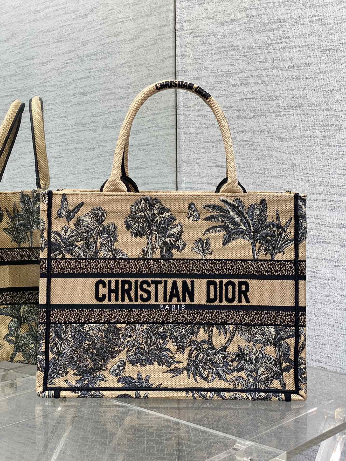 BAG-DIOR-W-LY-204