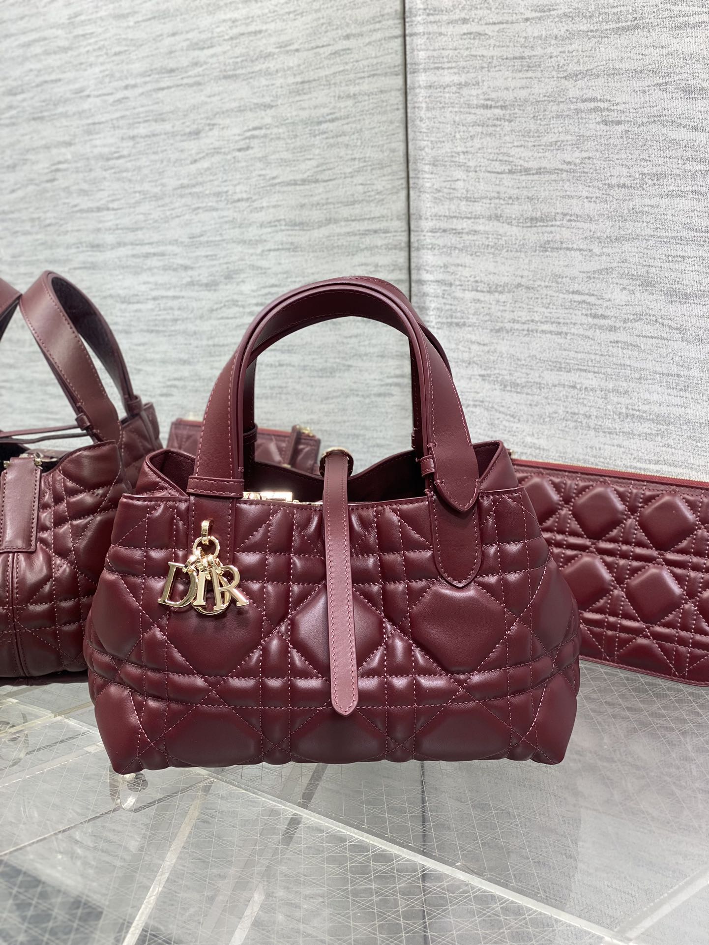 BAG-DIOR-W-LY-230