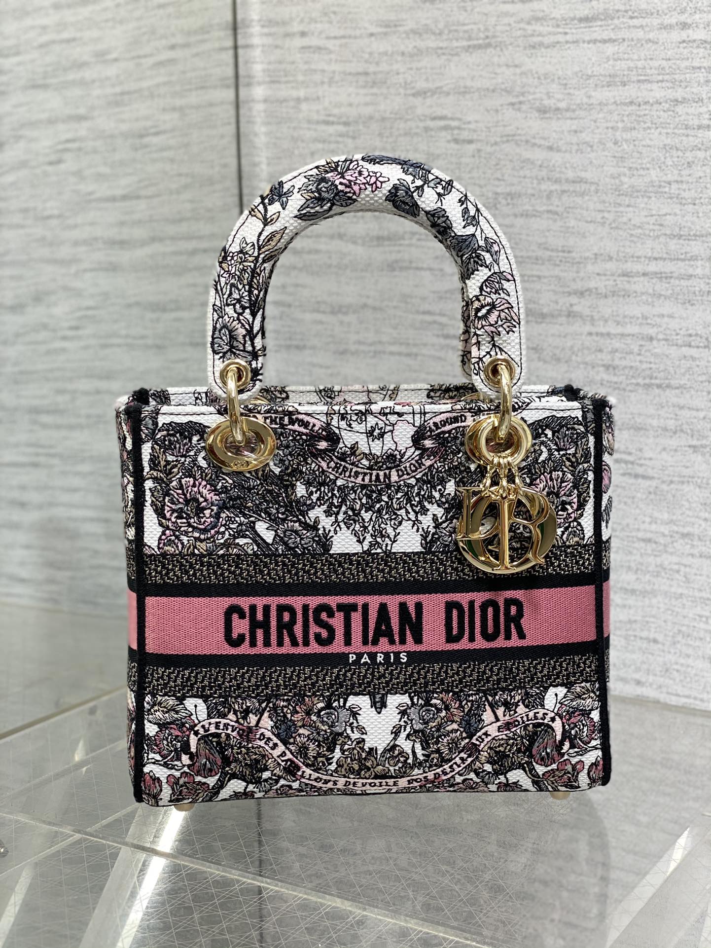 BAG-DIOR-W-LY-082