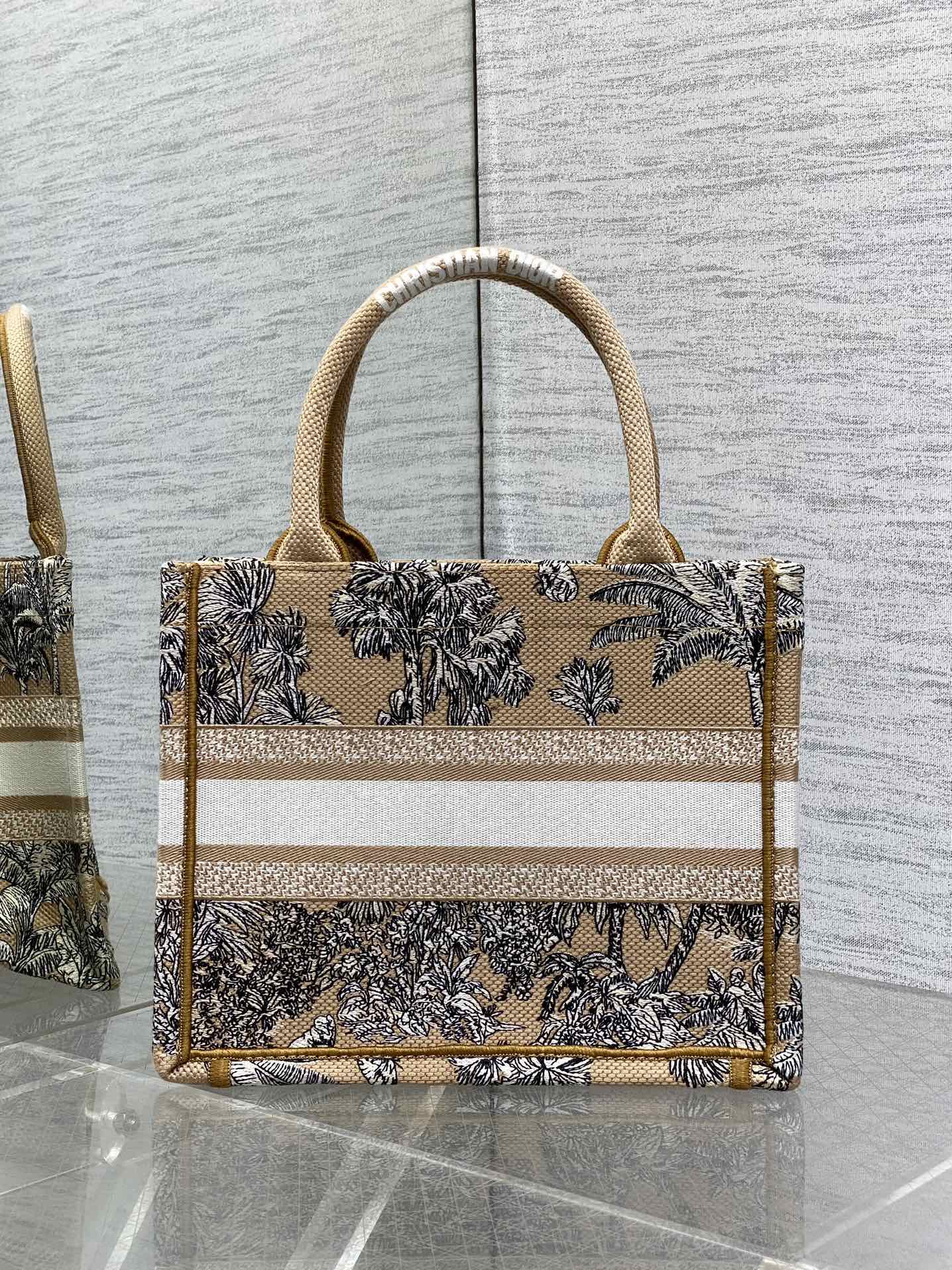 BAG-DIOR-W-LY-896
