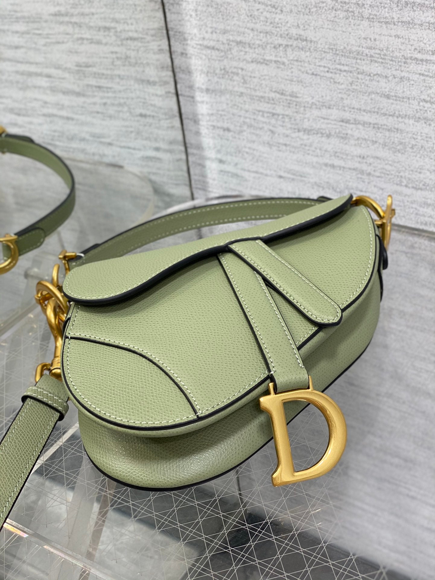 BAG-DIOR-W-LY-108