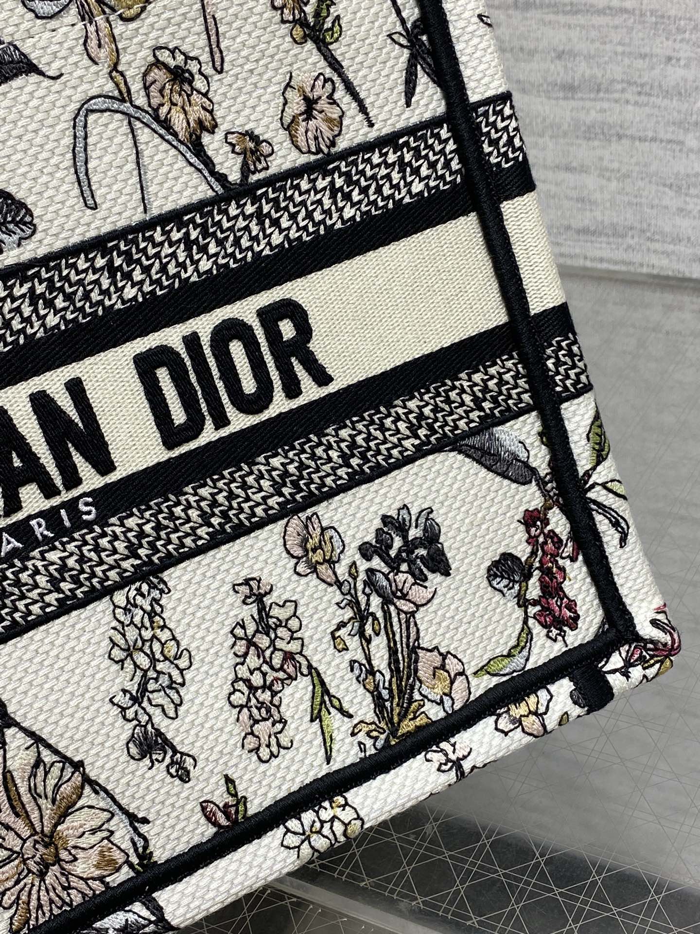BAG-DIOR-W-LY-929