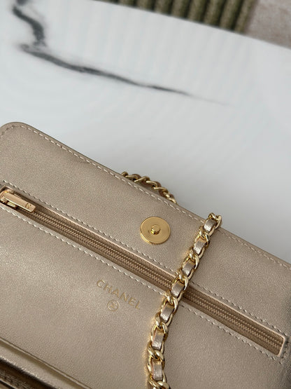 BAG-CHANEL-309