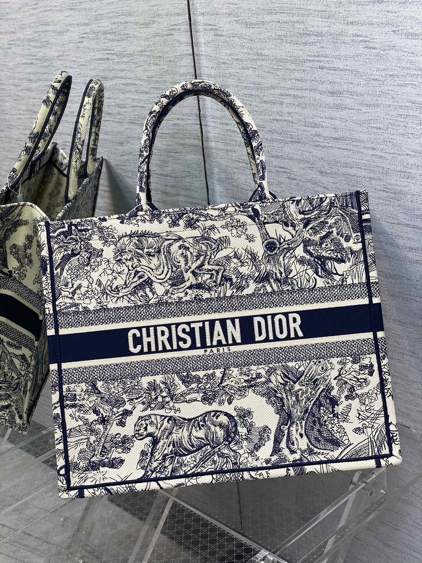BAG-DIOR-W-LY-921