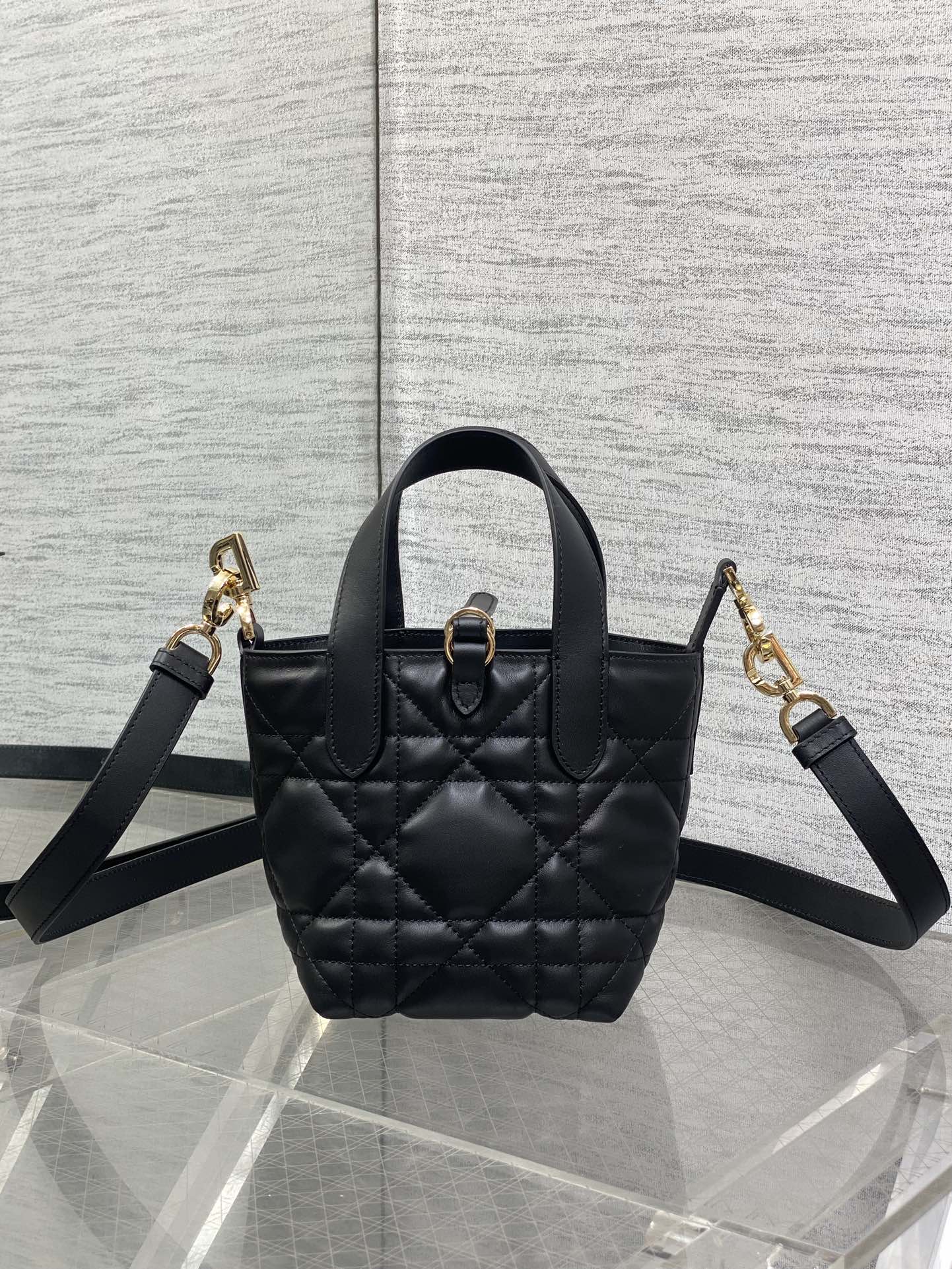 BAG-DIOR-W-LY-059