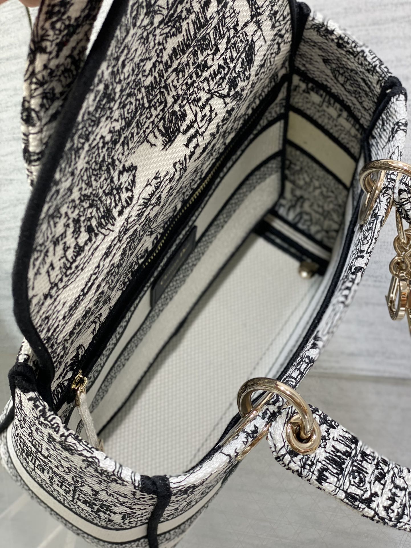 BAG-DIOR-W-LY-491