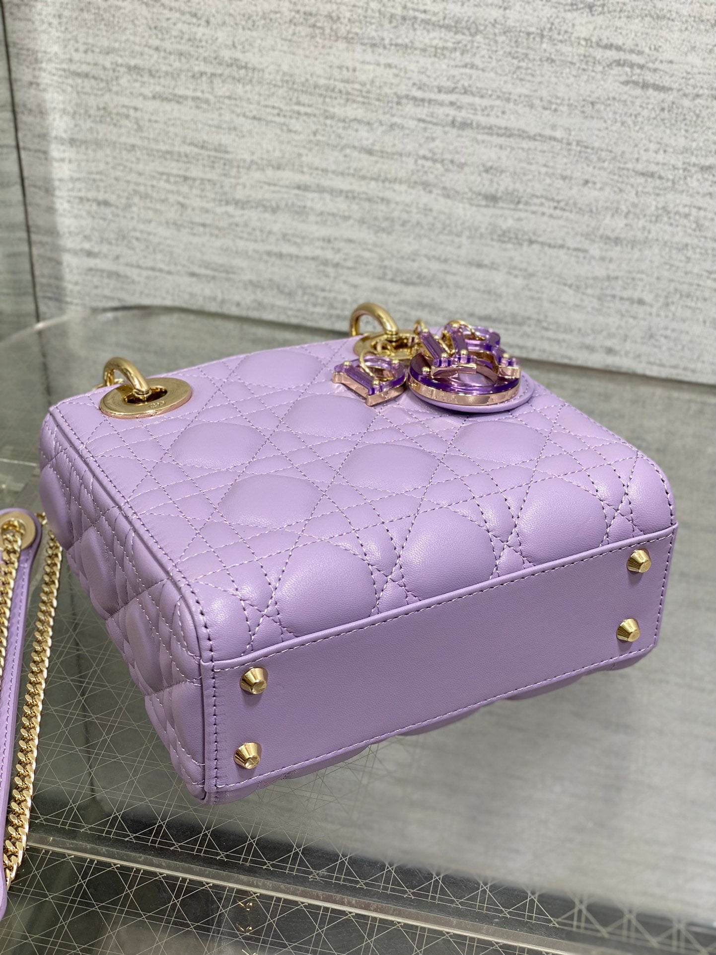 BAG-DIOR-W-LY-012