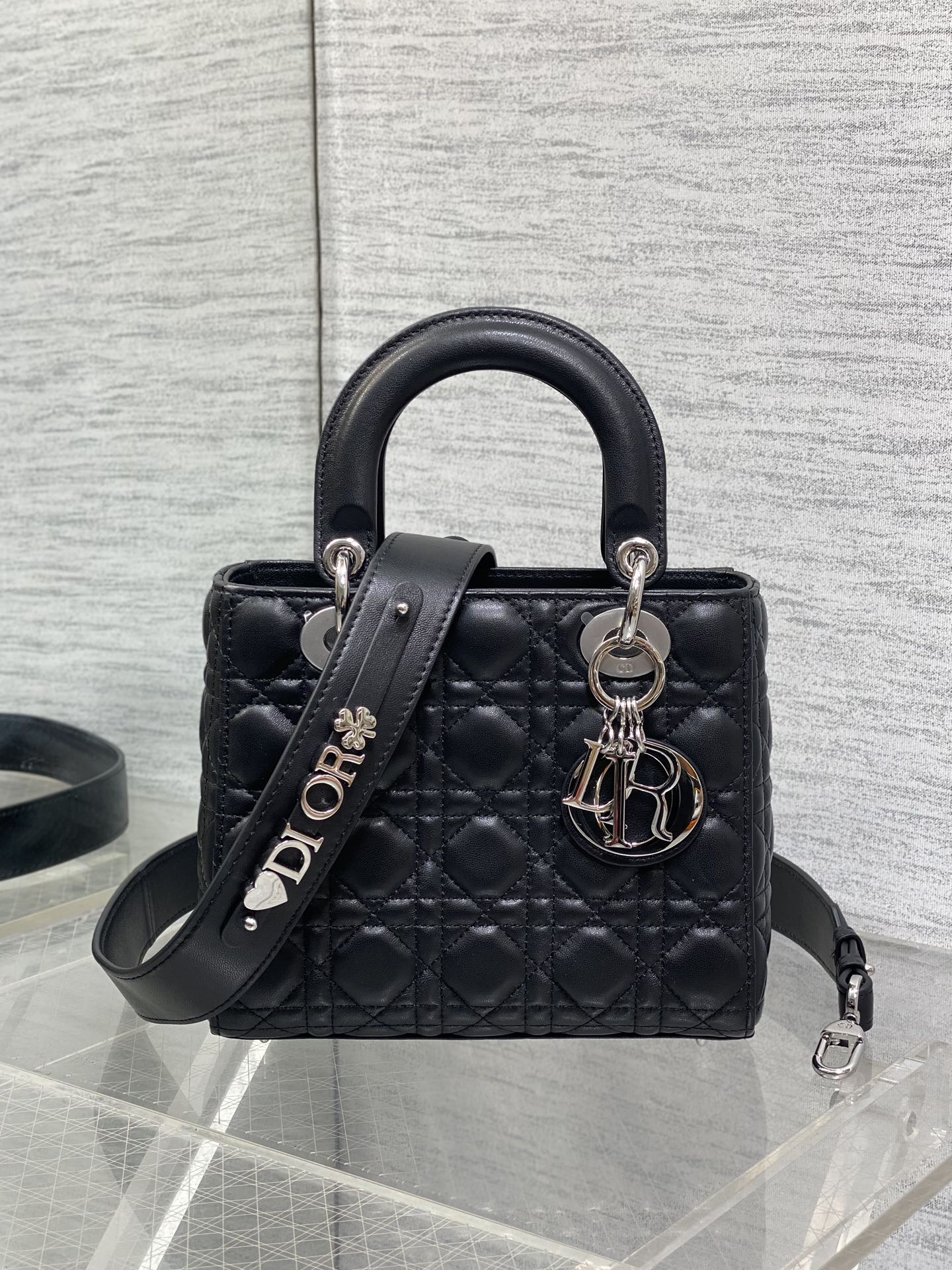 BAG-DIOR-W-LY-695