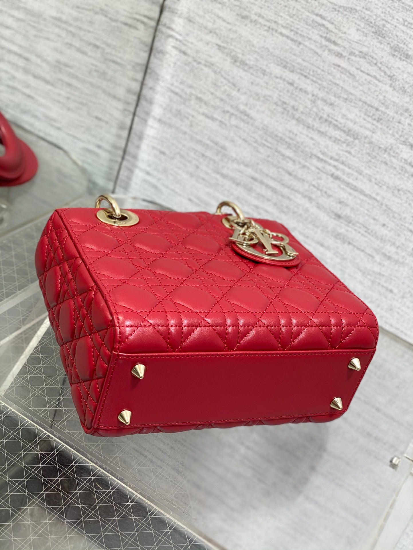 BAG-DIOR-W-LY-666