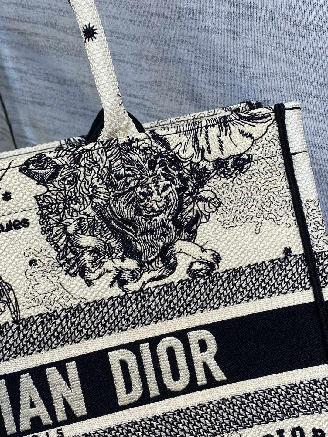 BAG-DIOR-W-LY-903