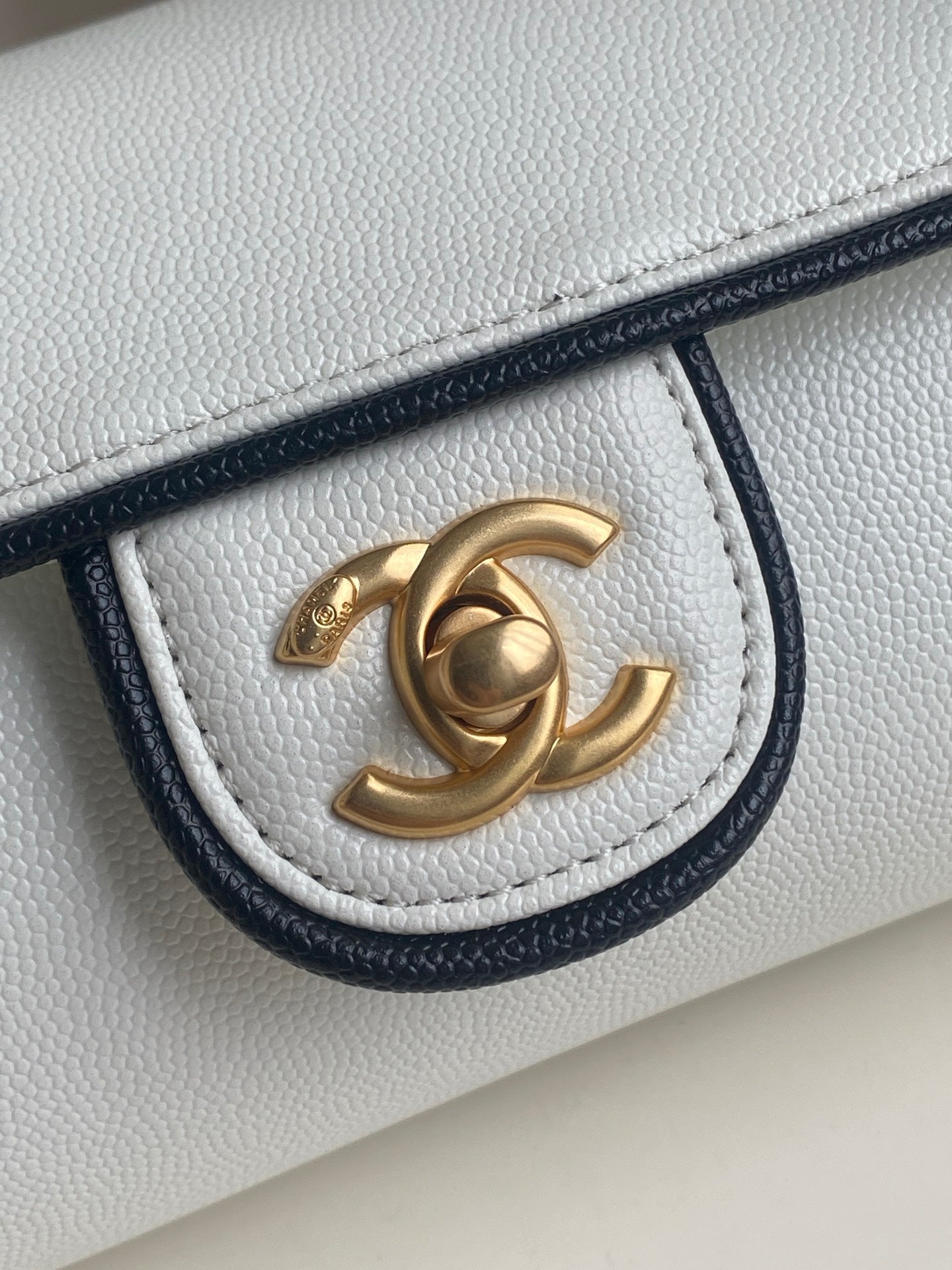 BAG-CHANEL-013
