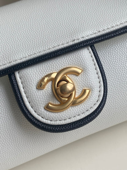 BAG-CHANEL-013