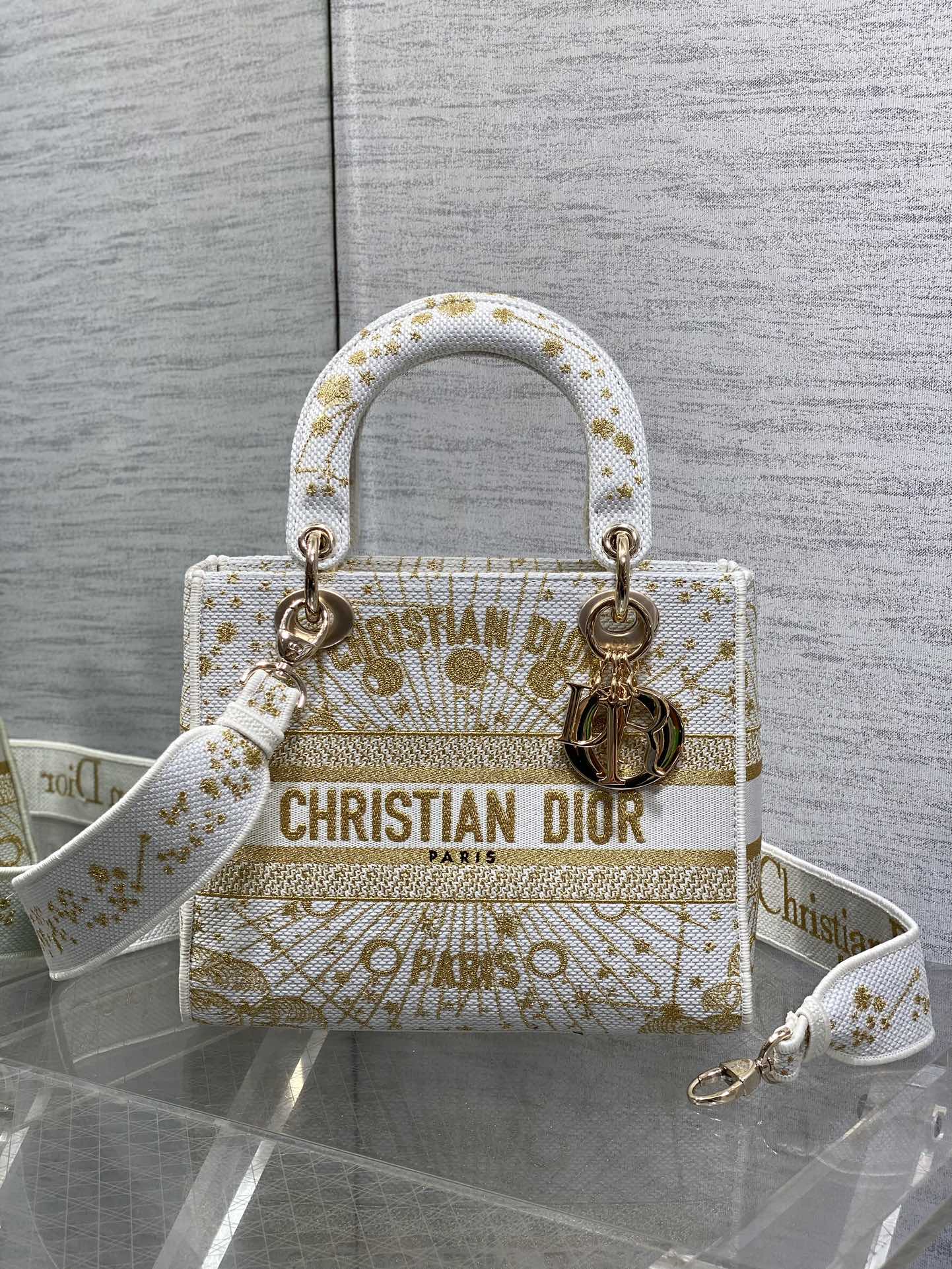 BAG-DIOR-W-LY-507