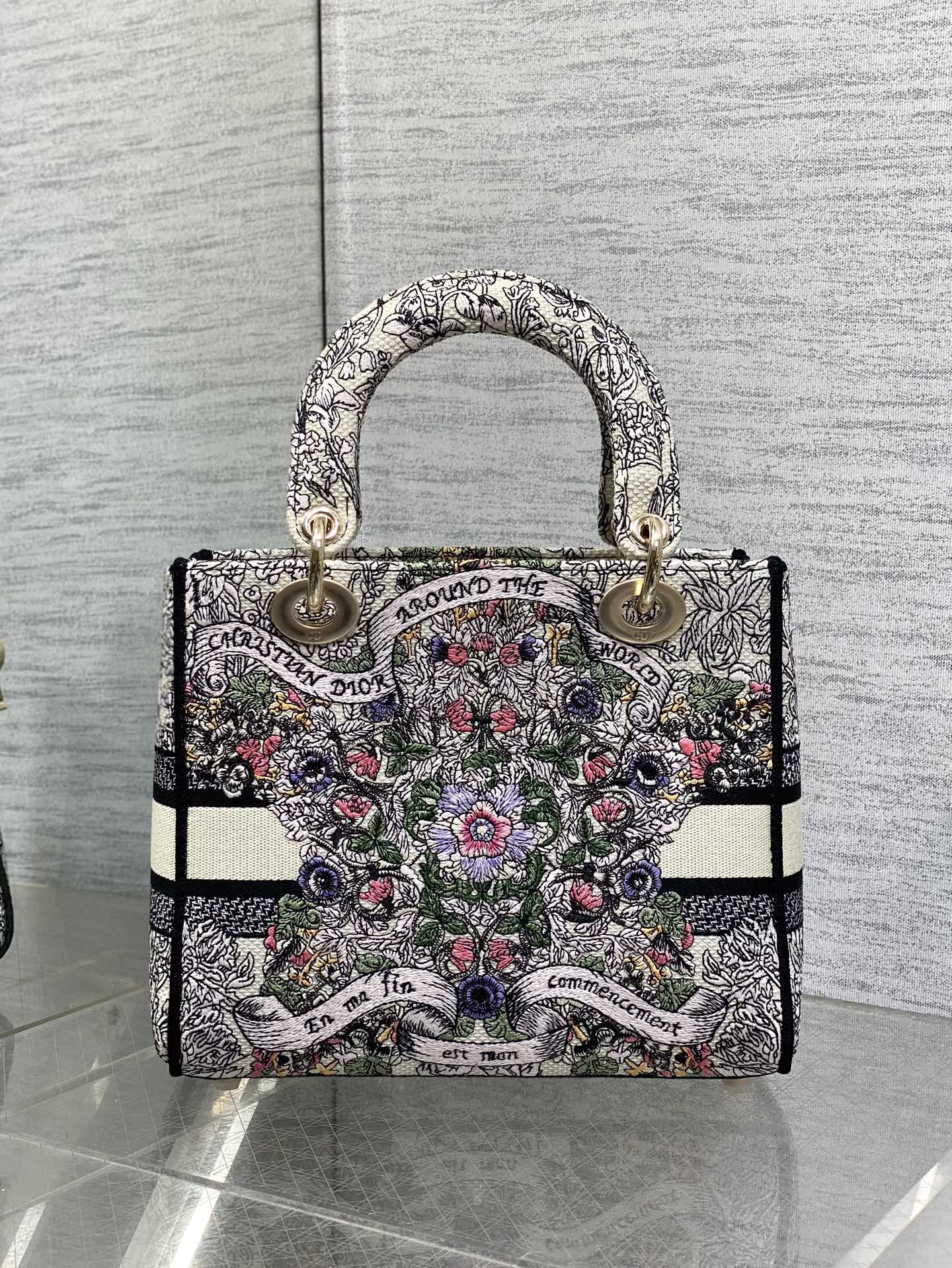 BAG-DIOR-W-LY-499