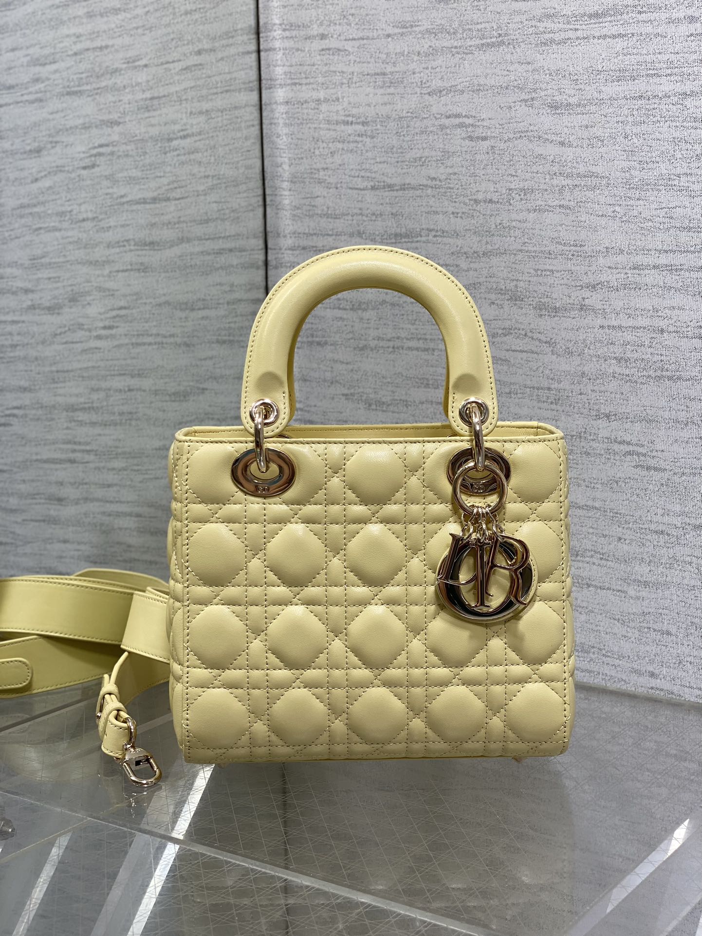 BAG-DIOR-W-LY-559