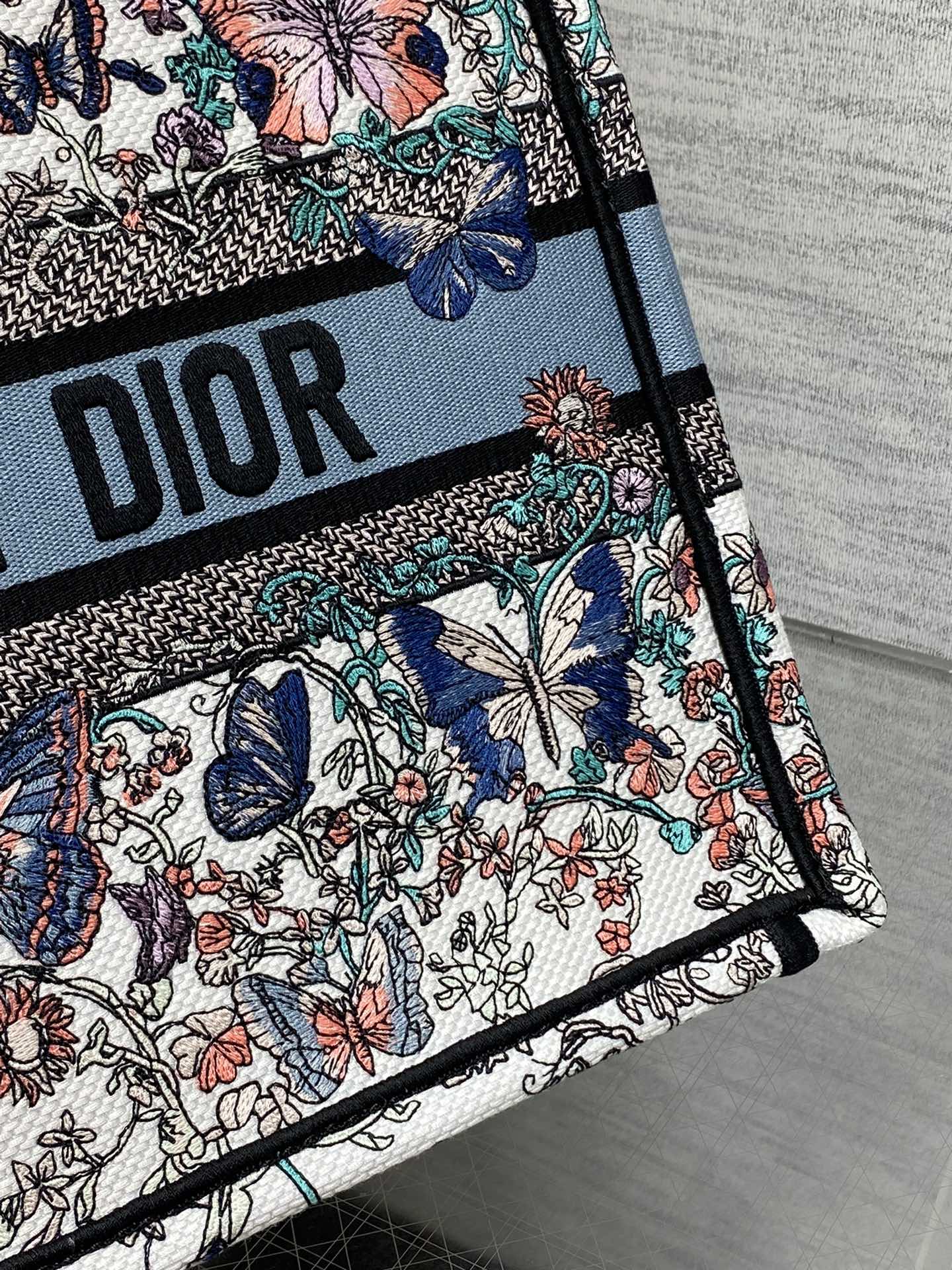 BAG-DIOR-W-LY-923