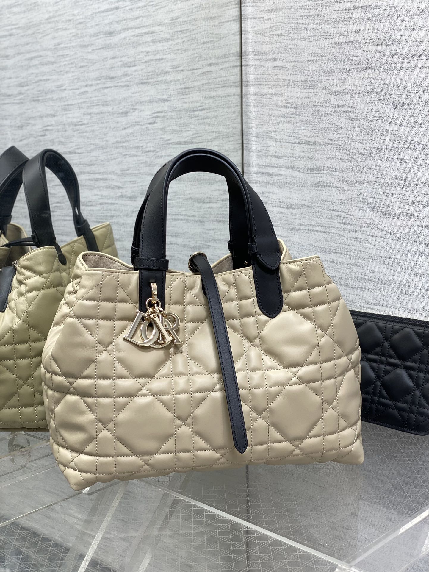 BAG-DIOR-W-LY-285