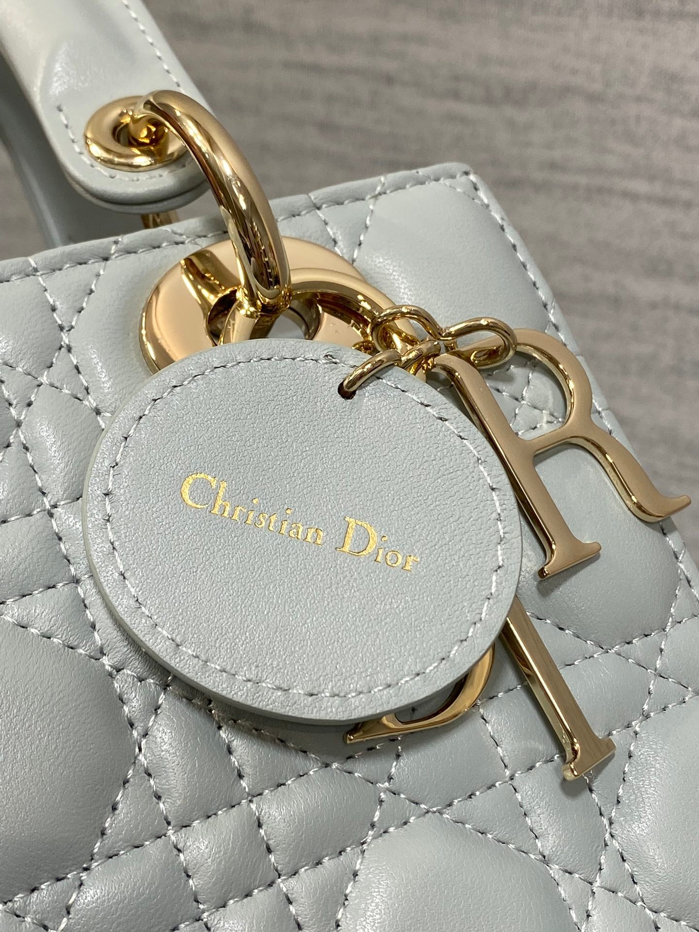 BAG-DIOR-W-LY-761