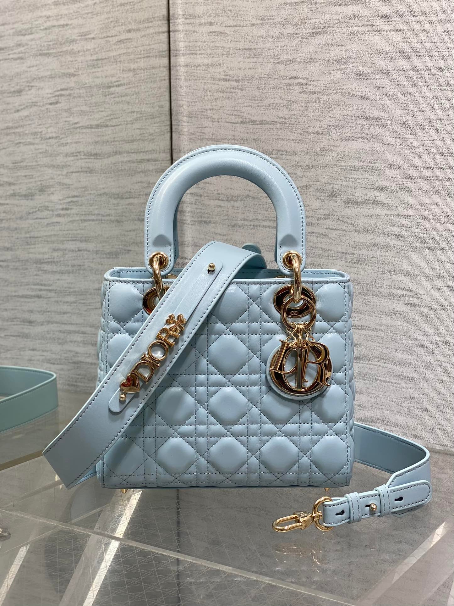 BAG-DIOR-W-LY-768