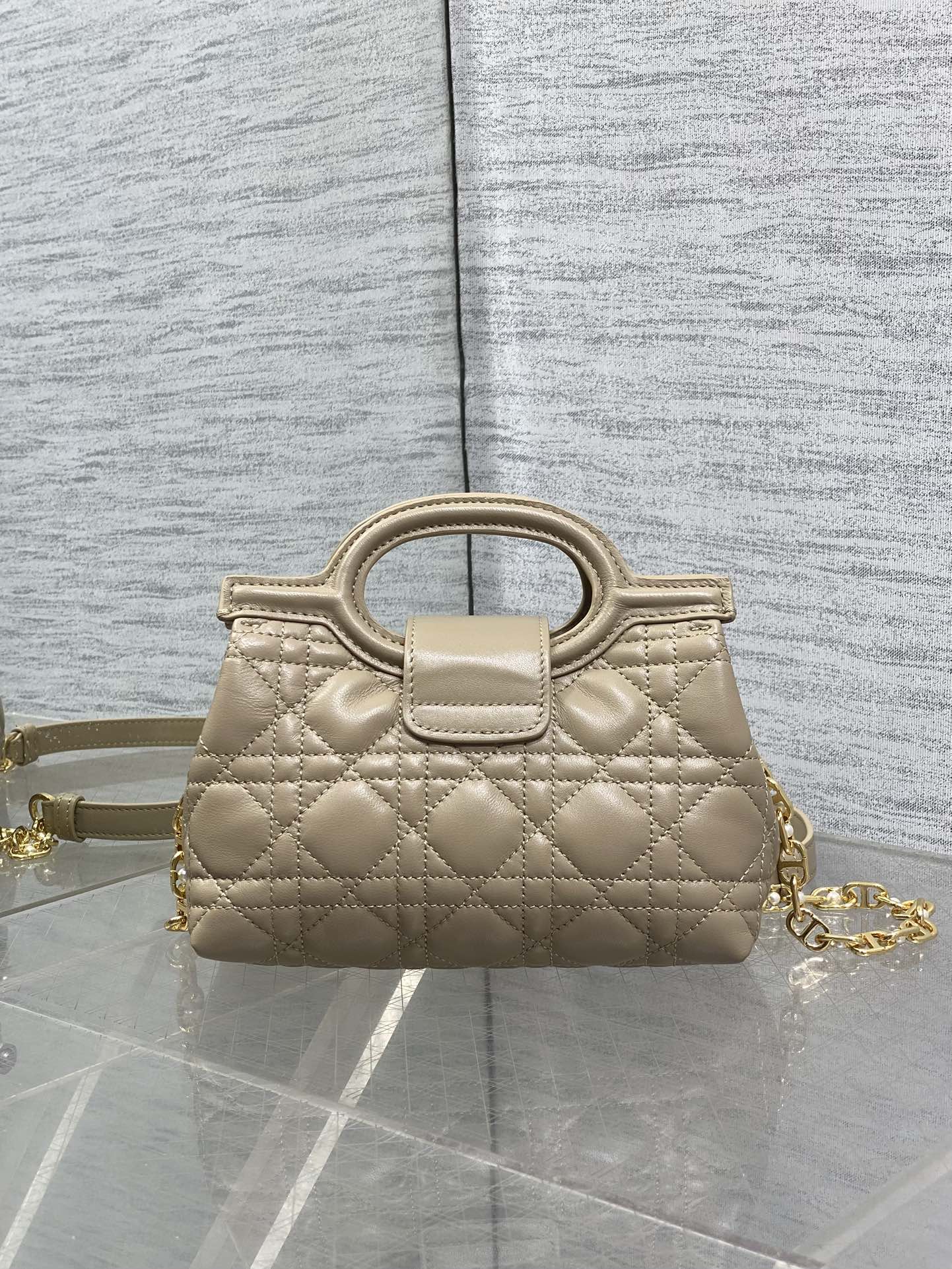 BAG-DIOR-W-LY-024
