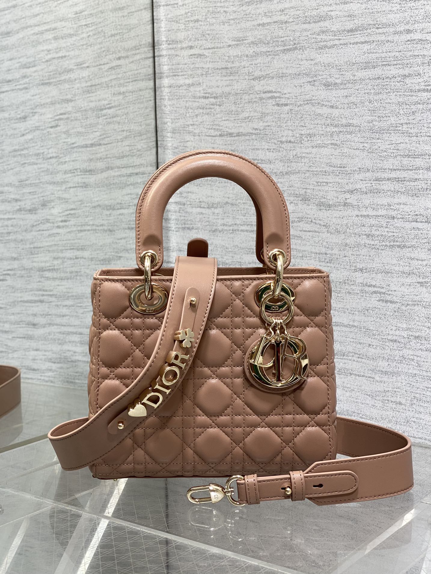 BAG-DIOR-W-LY-765