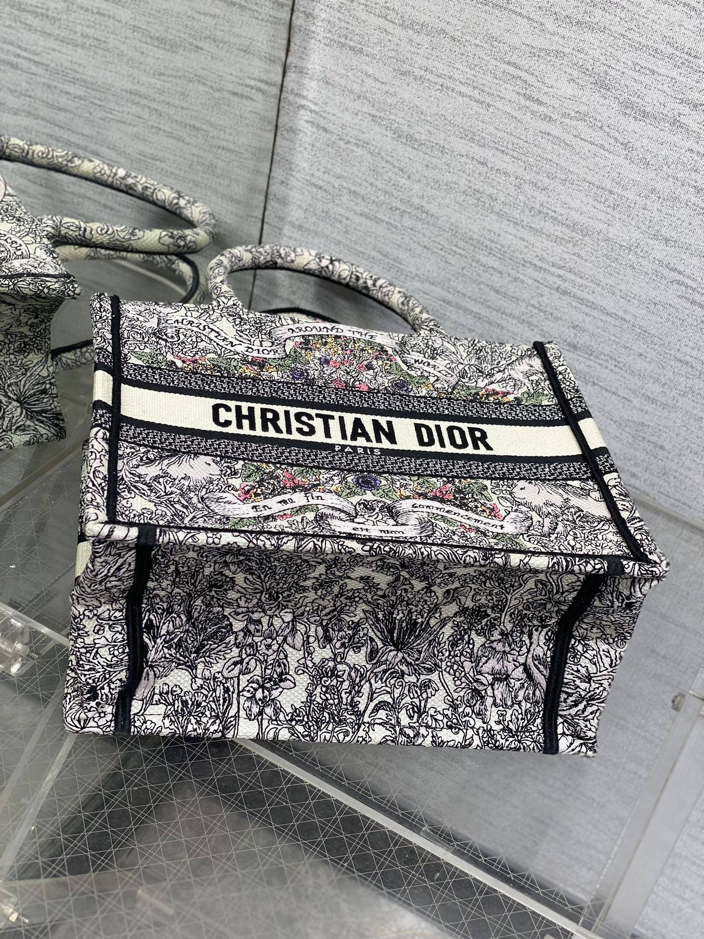 BAG-DIOR-W-LY-822