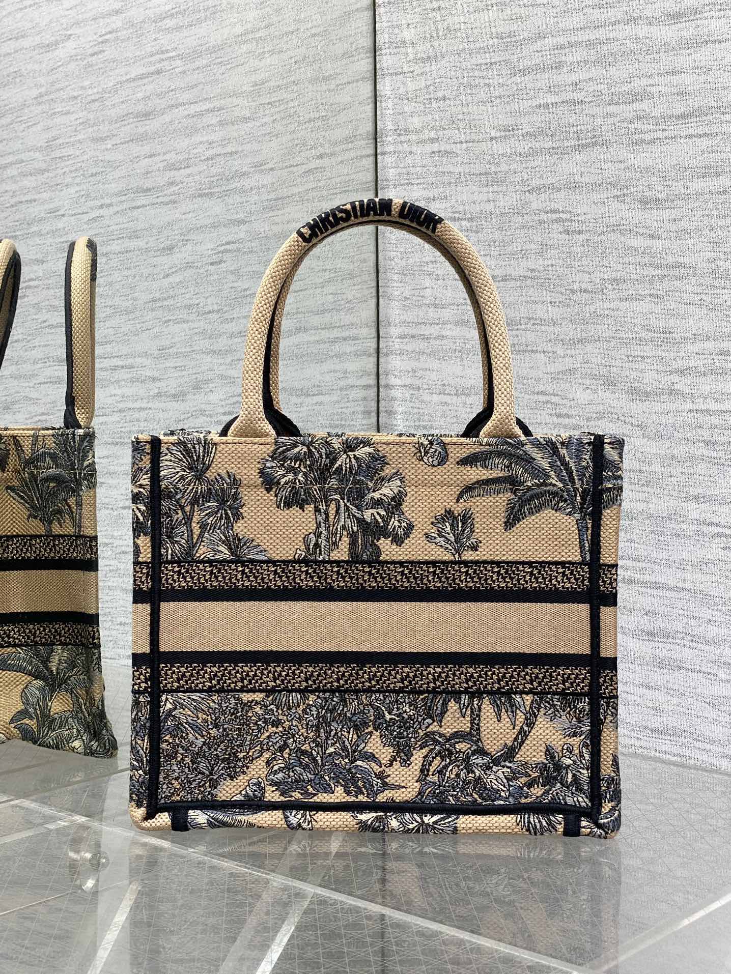 BAG-DIOR-W-LY-899